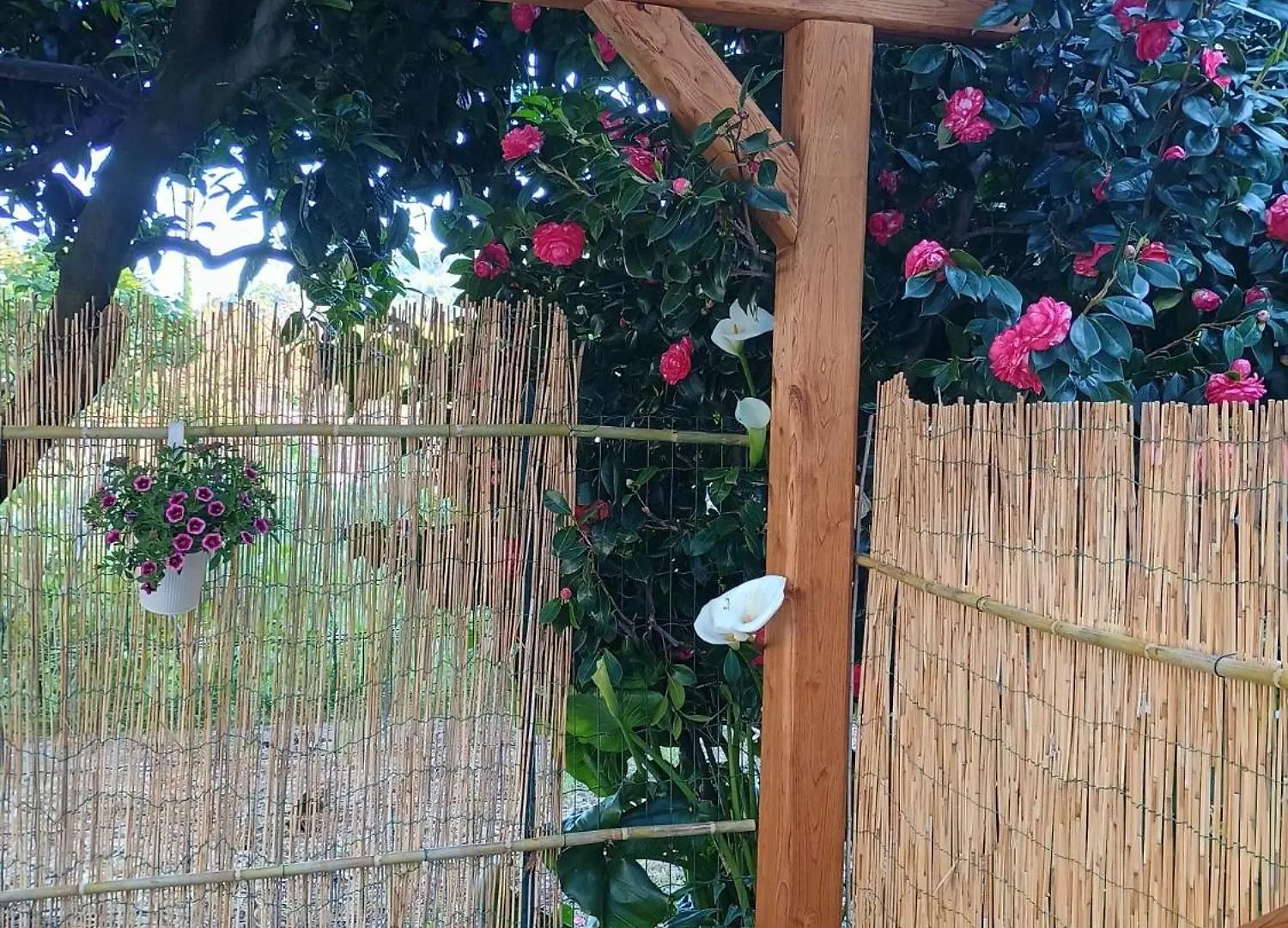 Villa La Casa Dei Due Aranci à Albisola Superiore Italie